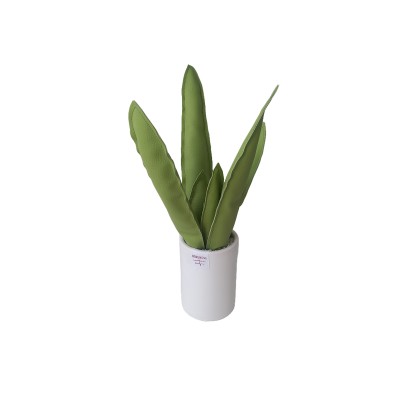 AGAVE IN ECOPELLE AGAVE IN ECOPELLE