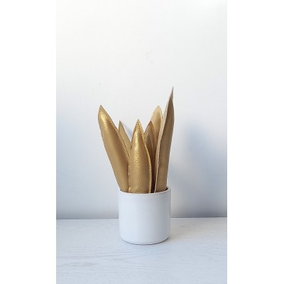AGAVE PICCOLA "GOLD"