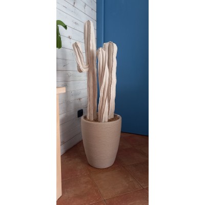 CACTUS "FLORIO" 140 CM