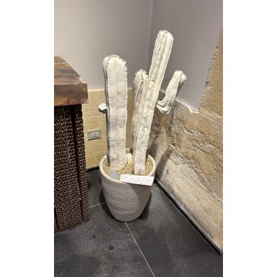 CACTUS "FLORIO" 140 CM