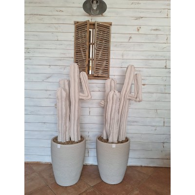 CACTUS "FLORIO" 140 CM