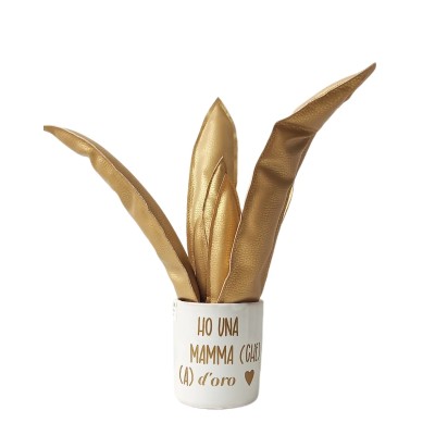 AGAVE ORO "FESTA DELLA MAMMA/SUOCERA"