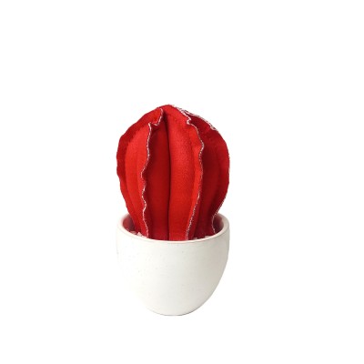 CACTUS IN VELLUTO ROSSO