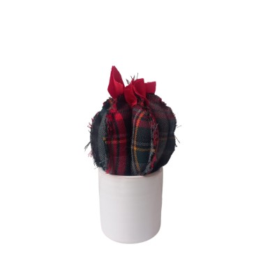 CACTUS IN TARTAN CON FIORE ROSSI